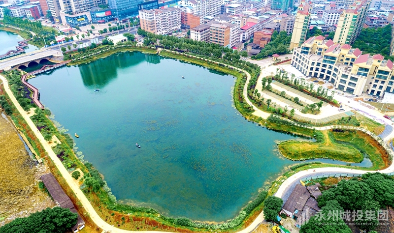 珊瑚公園